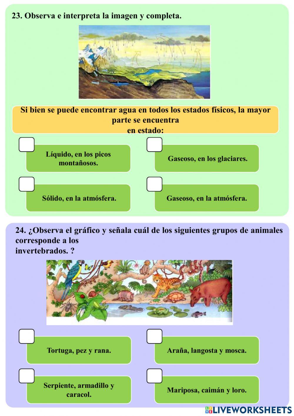 Simulador Ser Estudiante (Ciencias Naturales)
