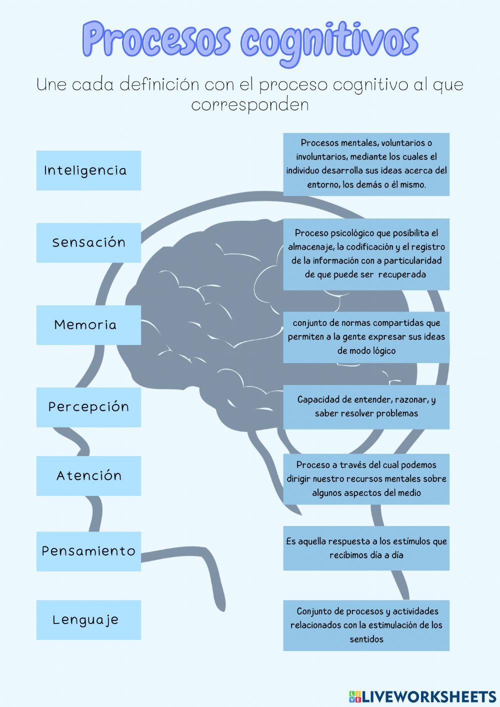 Procesos cognitivos