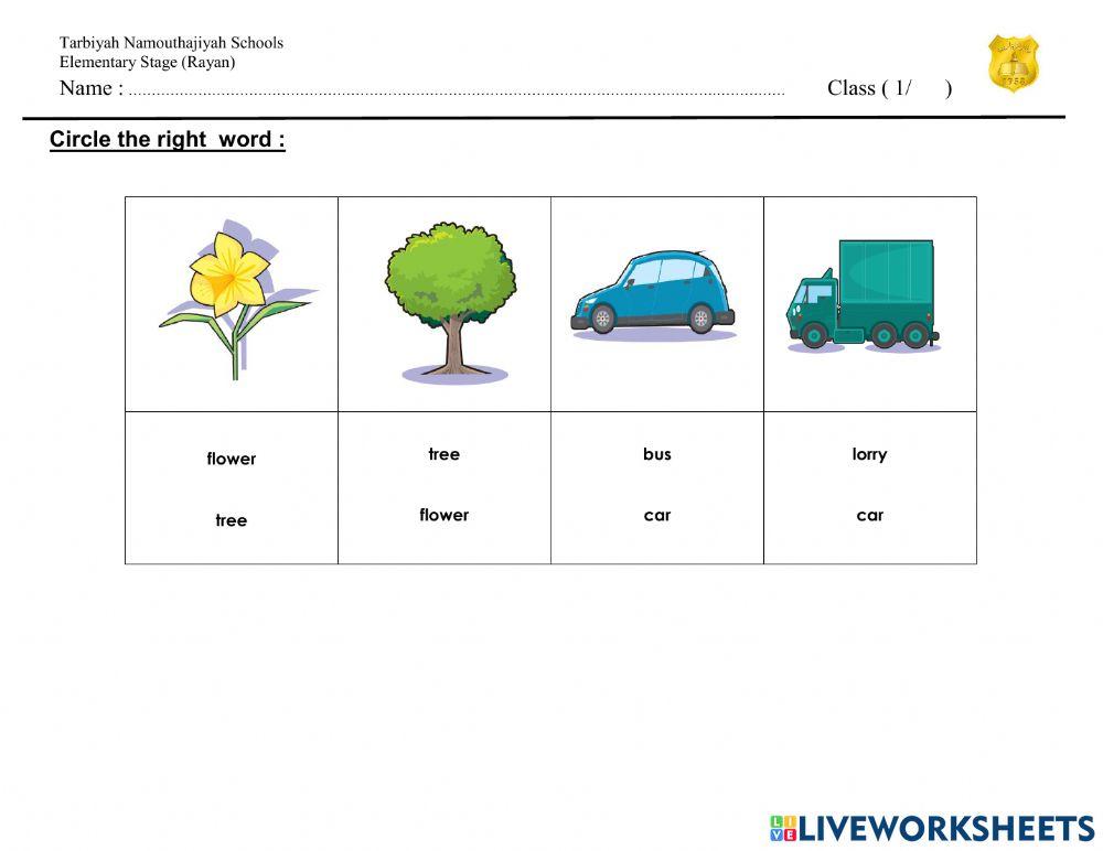 Grade 1 Power Up Unit 6 WS 1