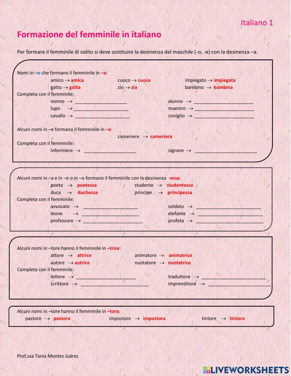 La formazione del femminile