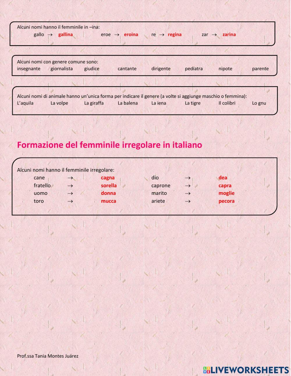 La formazione del femminile