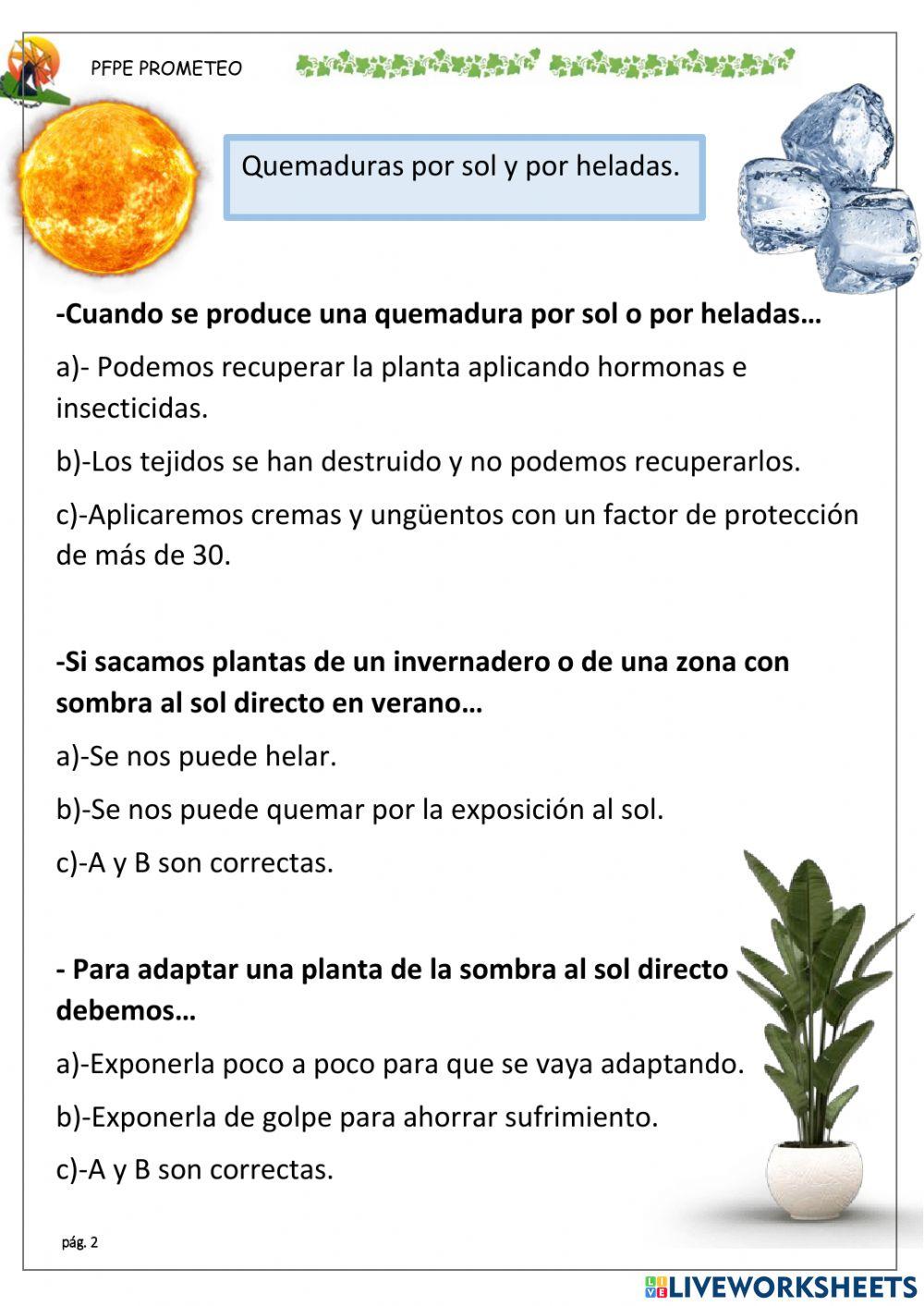 Sanidad vegetal. Salud y clima