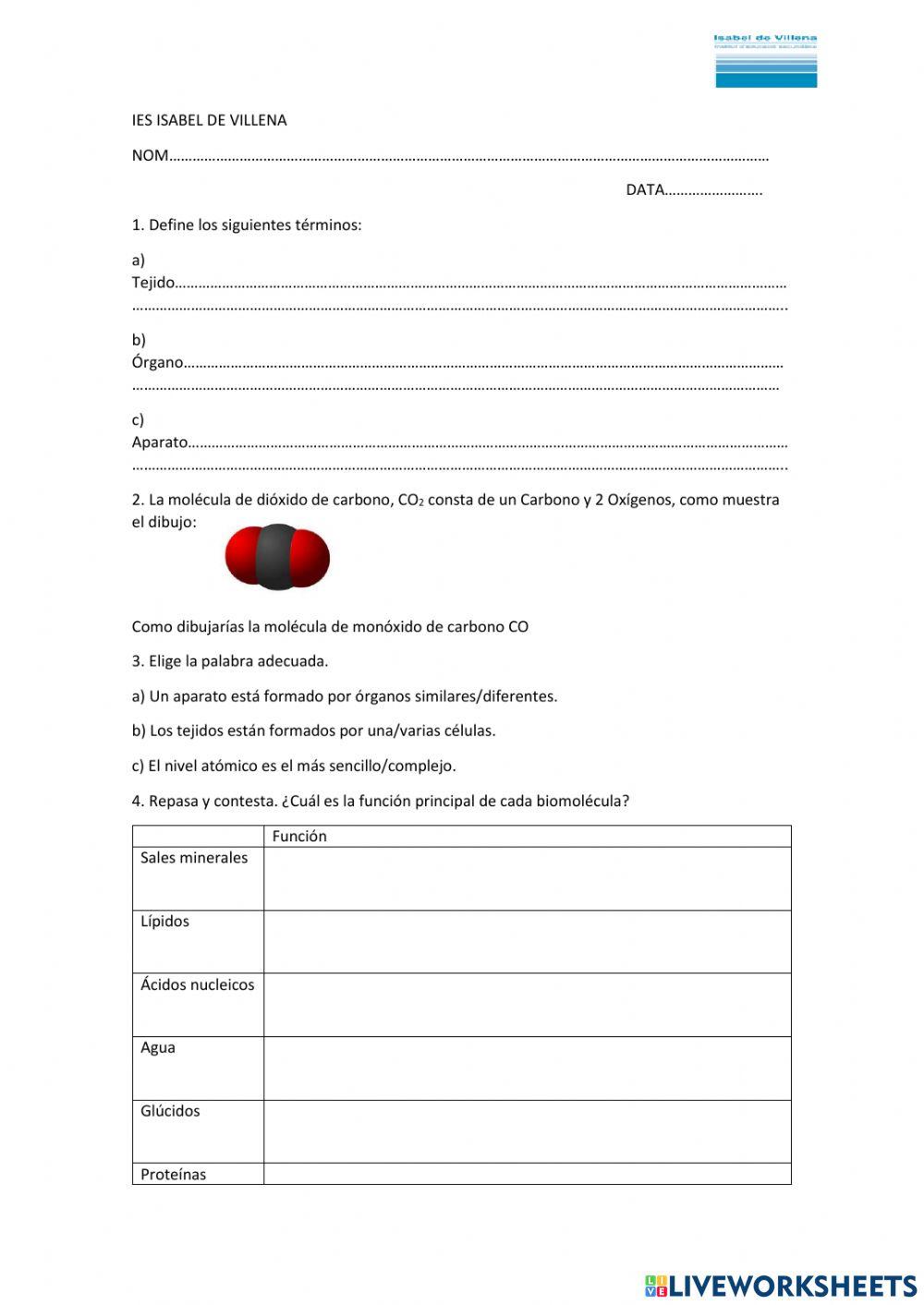 Niveles organizacion vida