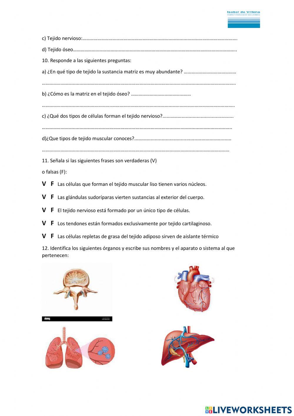 Niveles organizacion vida