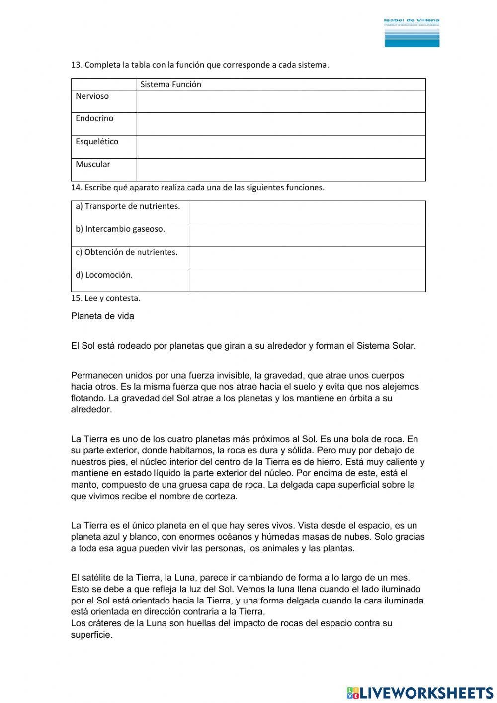 Niveles organizacion vida