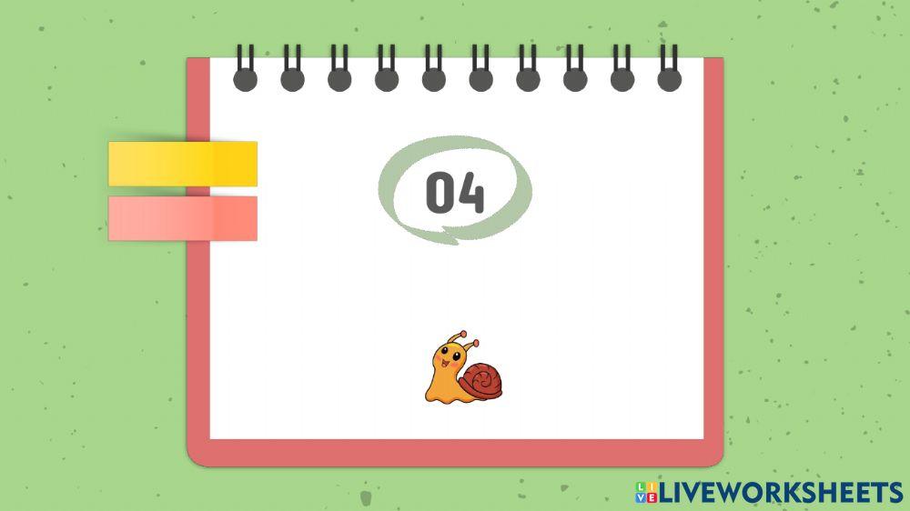 Invertebrates part 2