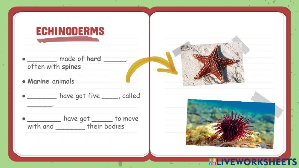 Invertebrates part 2