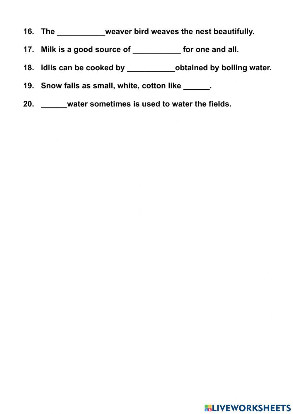 Science Revision Worksheet for class 3