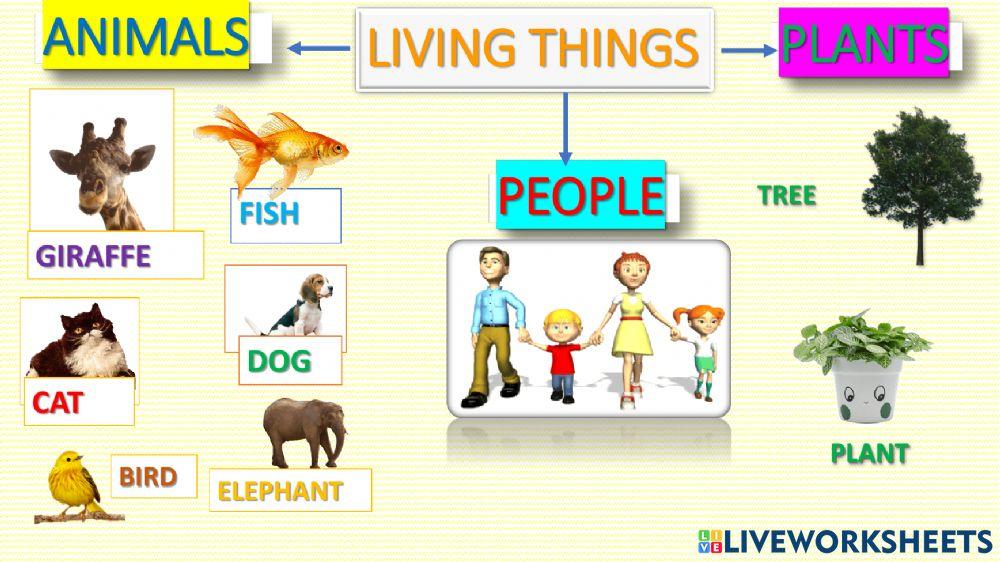 Living things Living things