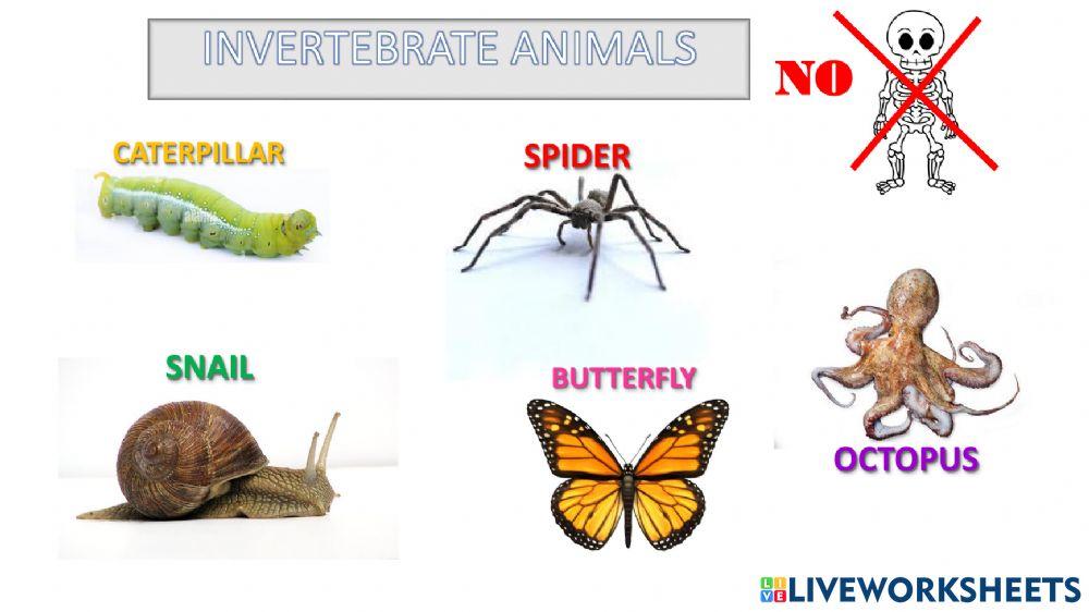 Living things Living things