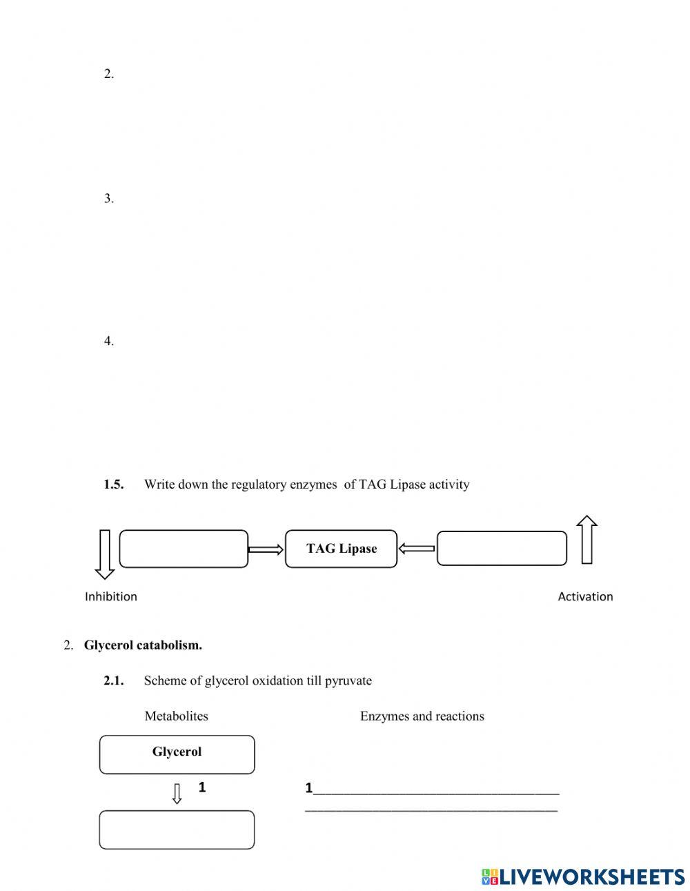 Topic 15. Lipid digestion and catabolism