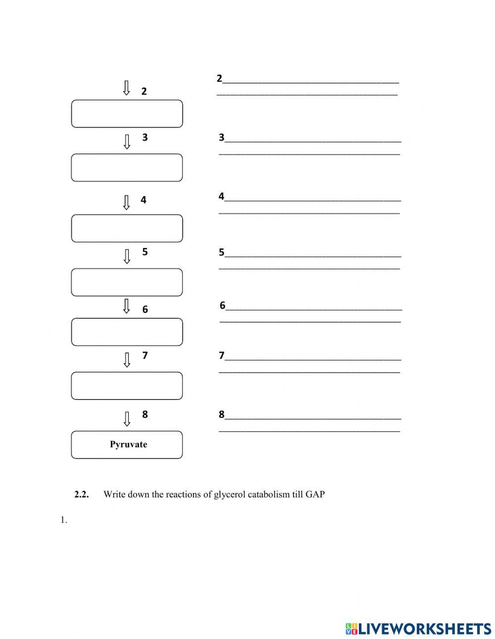 Topic 15. Lipid digestion and catabolism