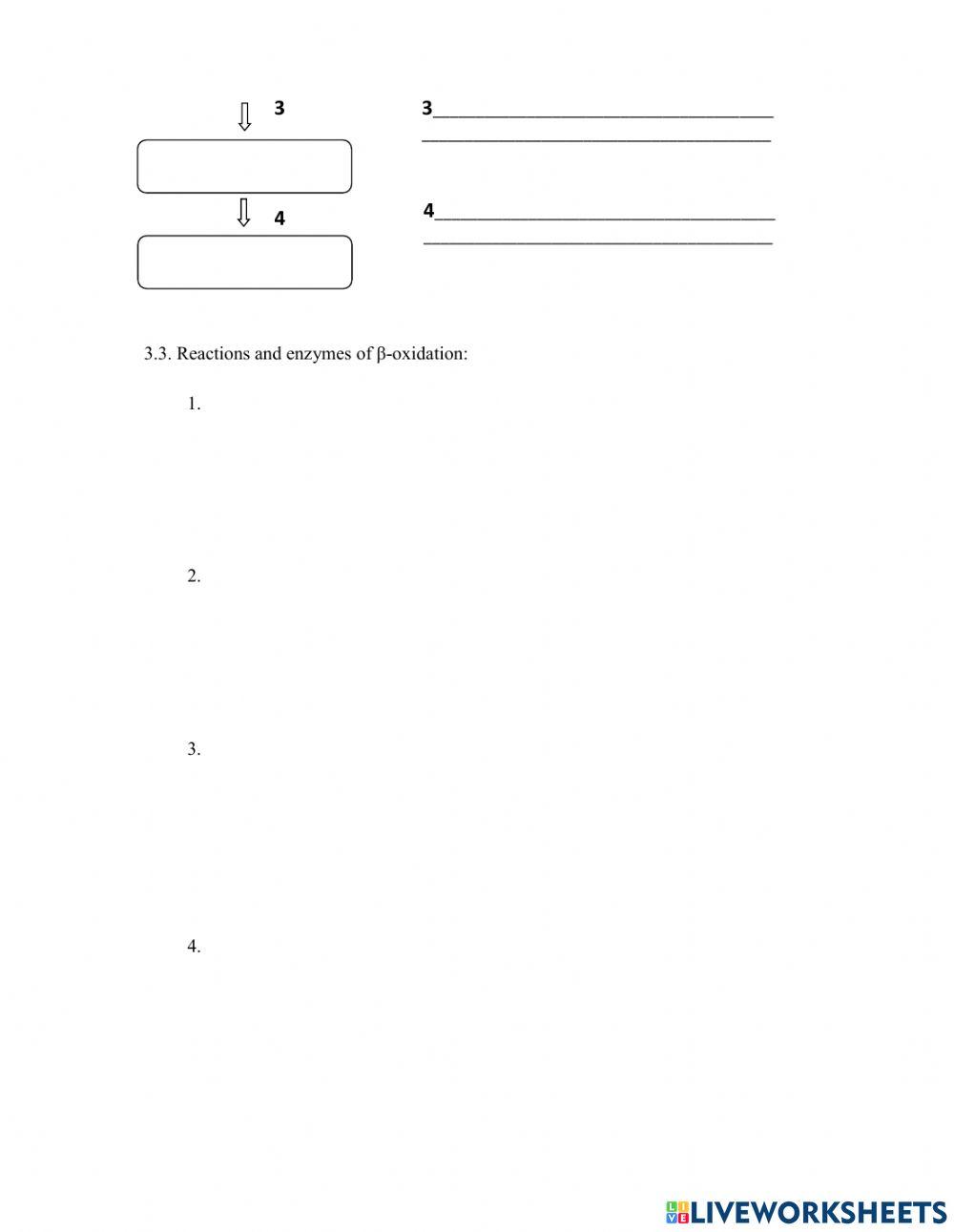 Topic 15. Lipid digestion and catabolism