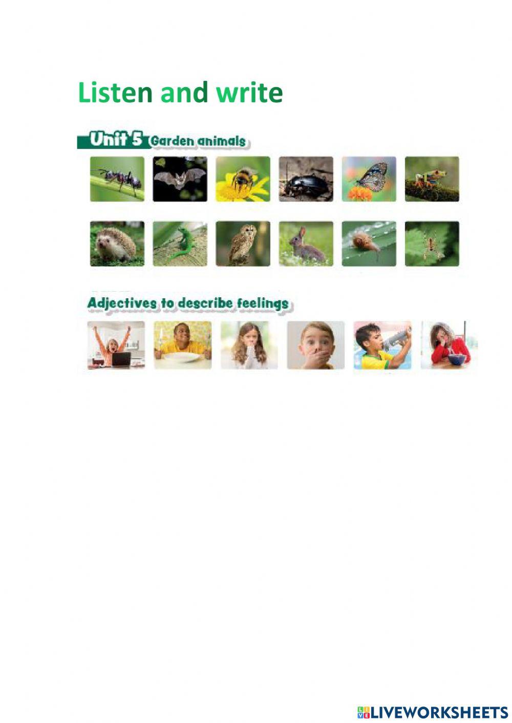 Vocabulary Unit 5 LTW