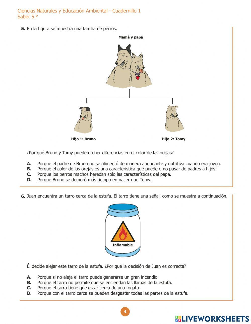 Evaluar  para avanzar 5