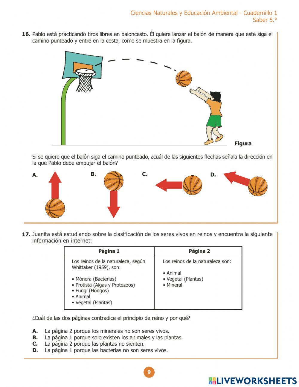 Evaluar  para avanzar 5