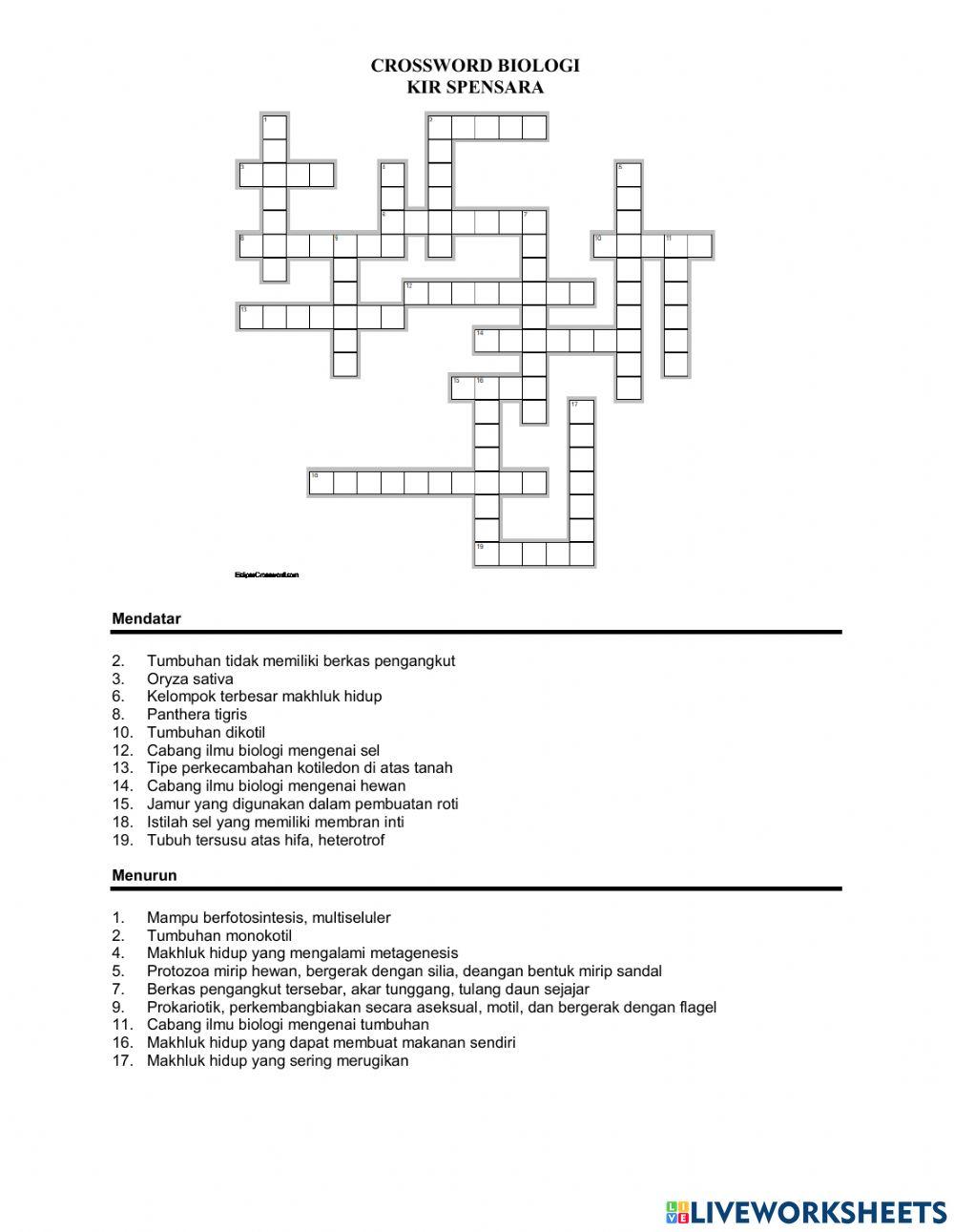 Puzzle Biologi KIR SPENSARA 1