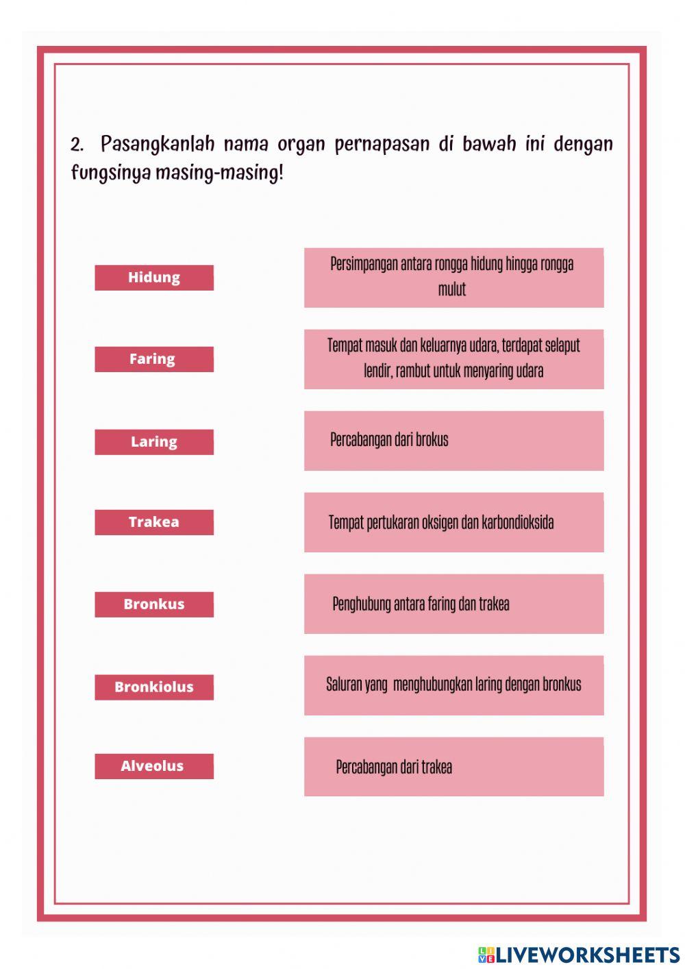 Lkpd online sistem pernapasan