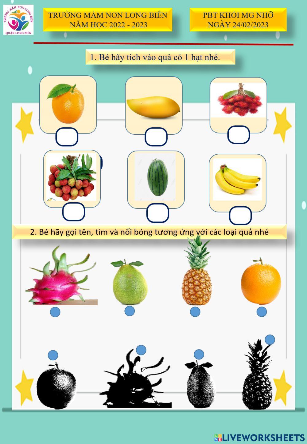 PBT Khối nhỡ ngày 24-02-2023