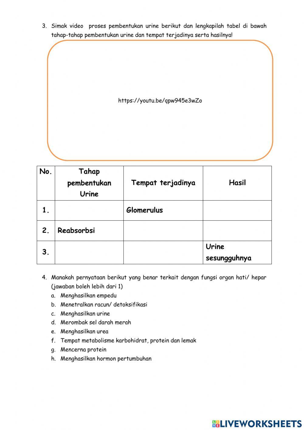 Sistem Eksresi Ginjal