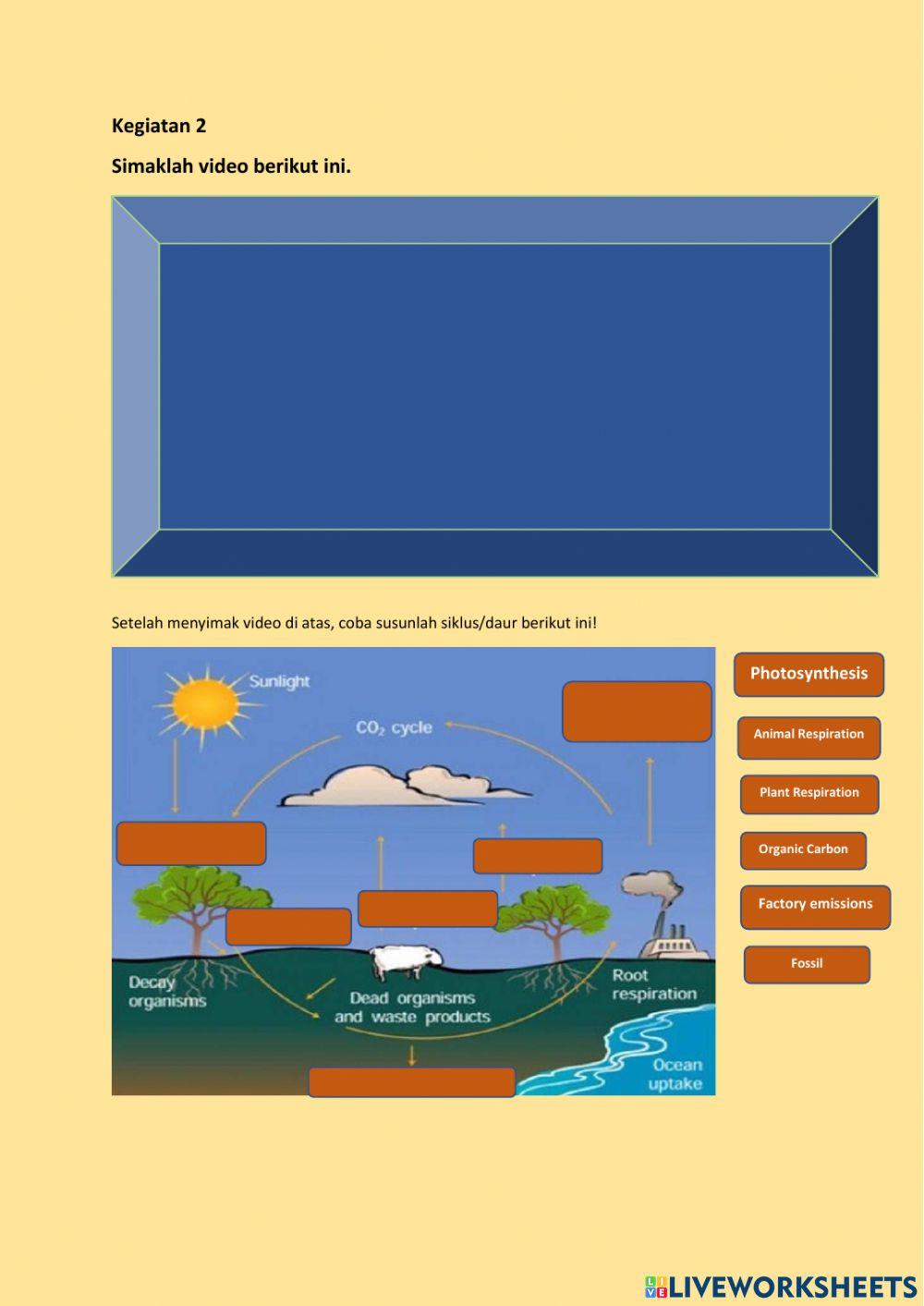 Daur Karbon JEmbatan