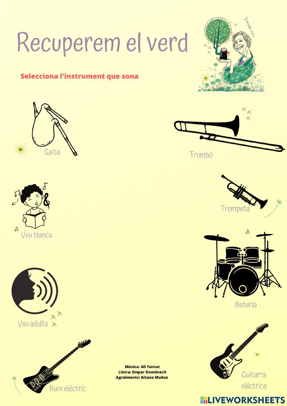Recuperem el verd endevina instruments