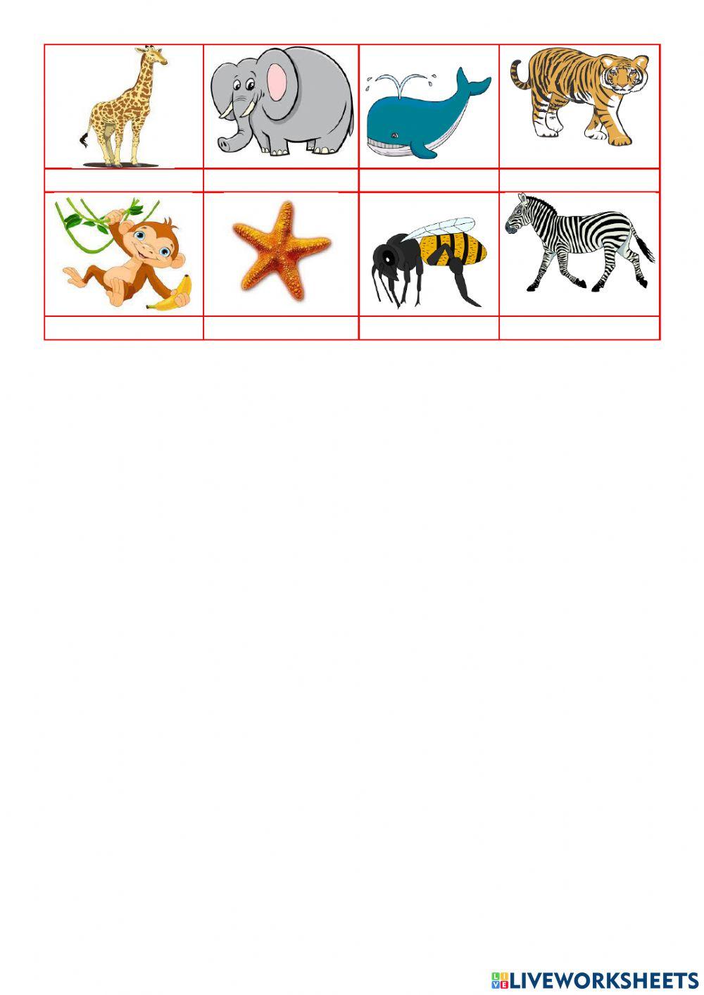 Leseverstehen -Tierbeschreibung-