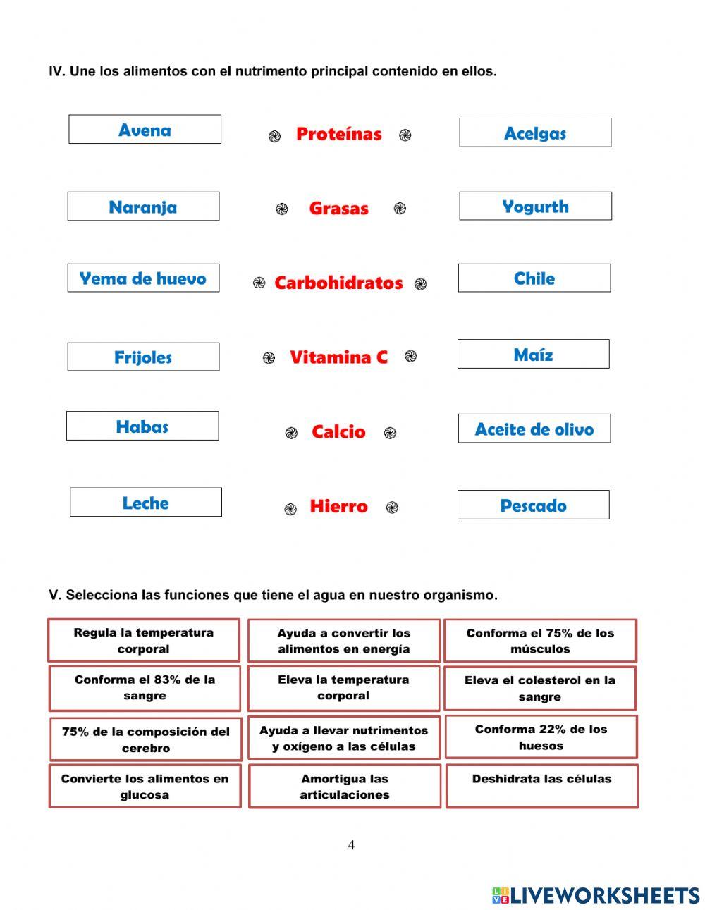 Guía examen febrero