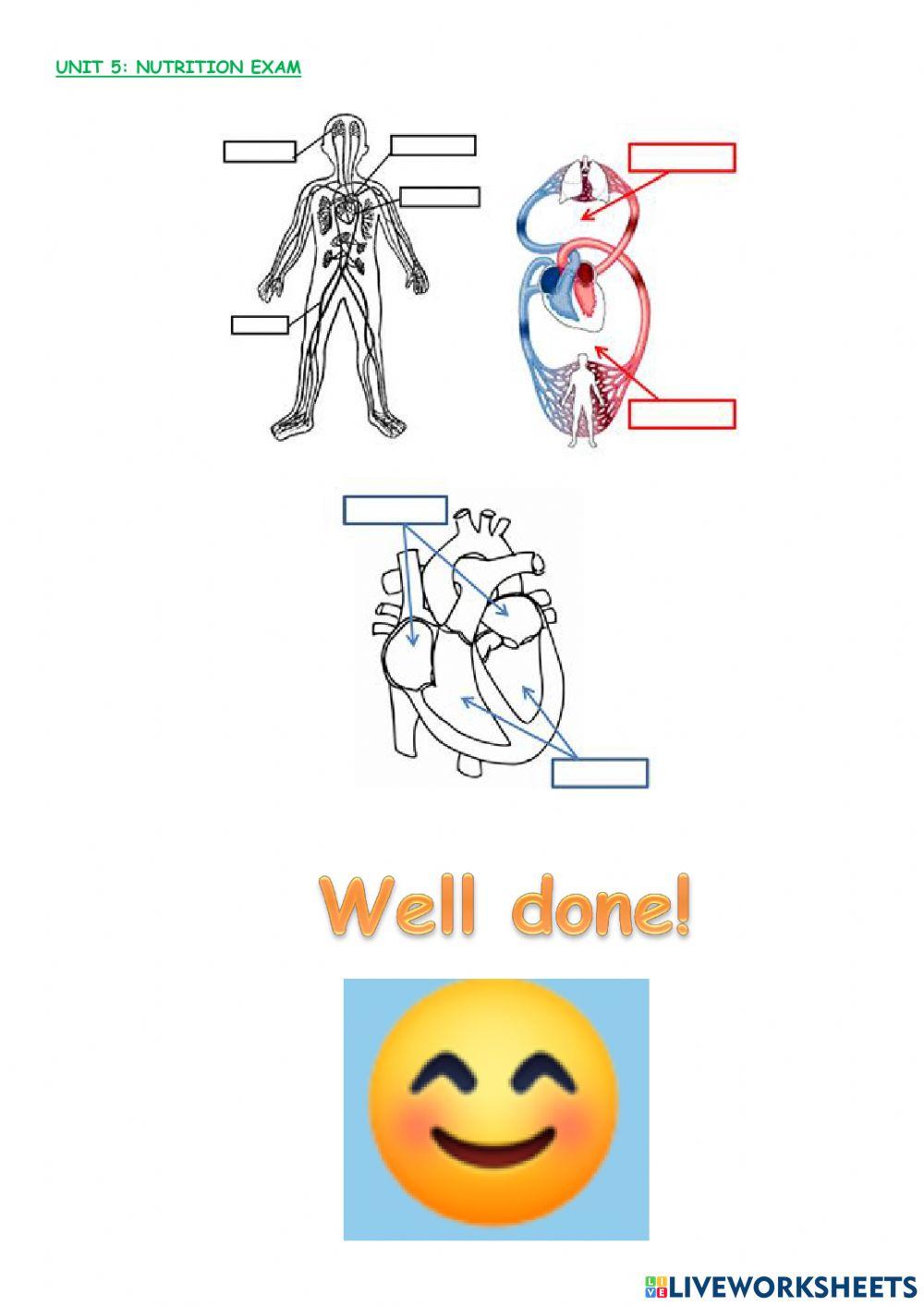 Nutrition VITAL FUNCTION