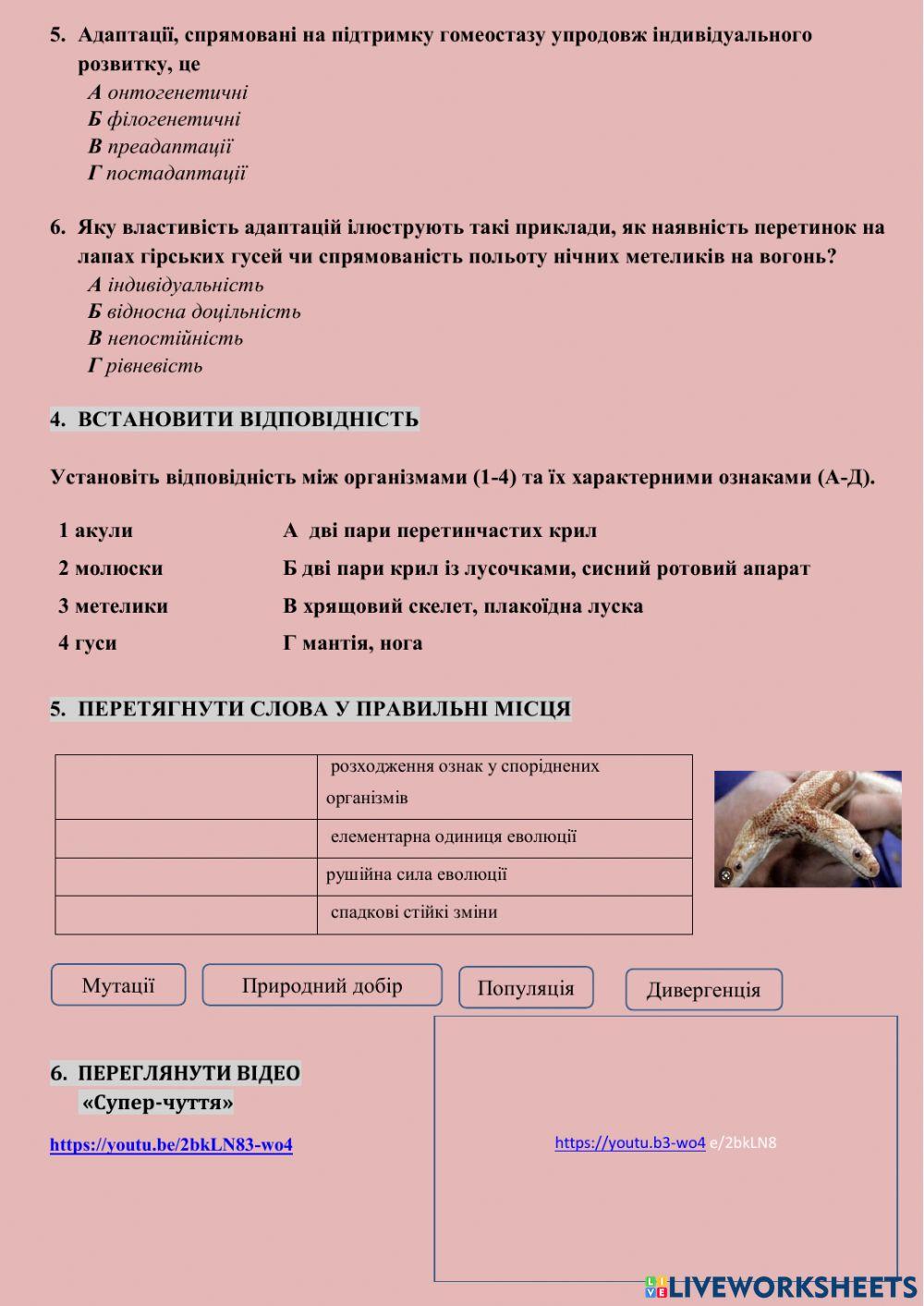 Загальні закономірності формування адаптацій