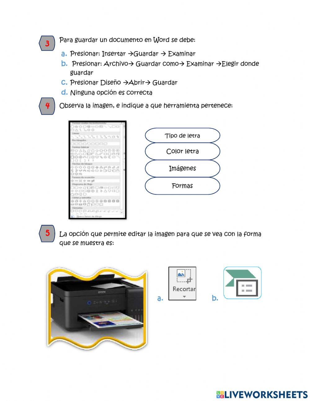 Evaluación sobre Word 3°