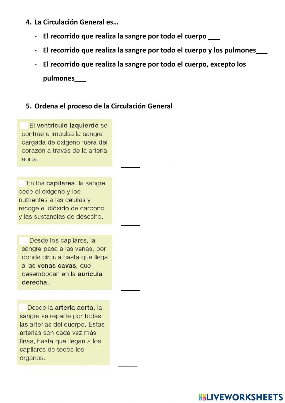 La circulacion de la sangre