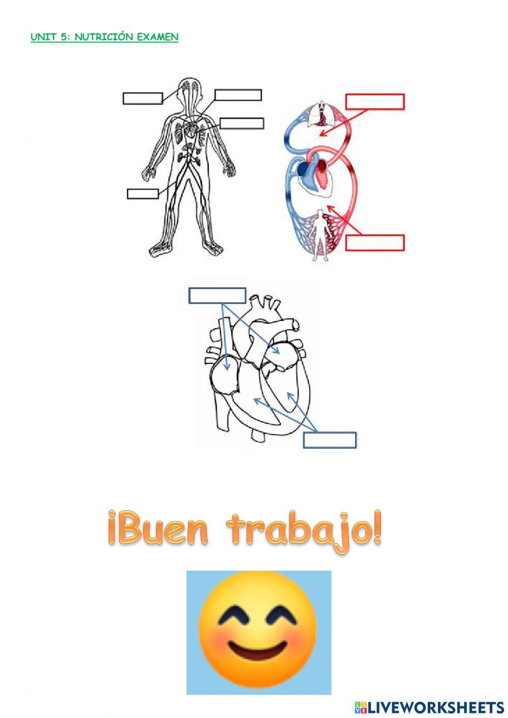 Función de nutrición