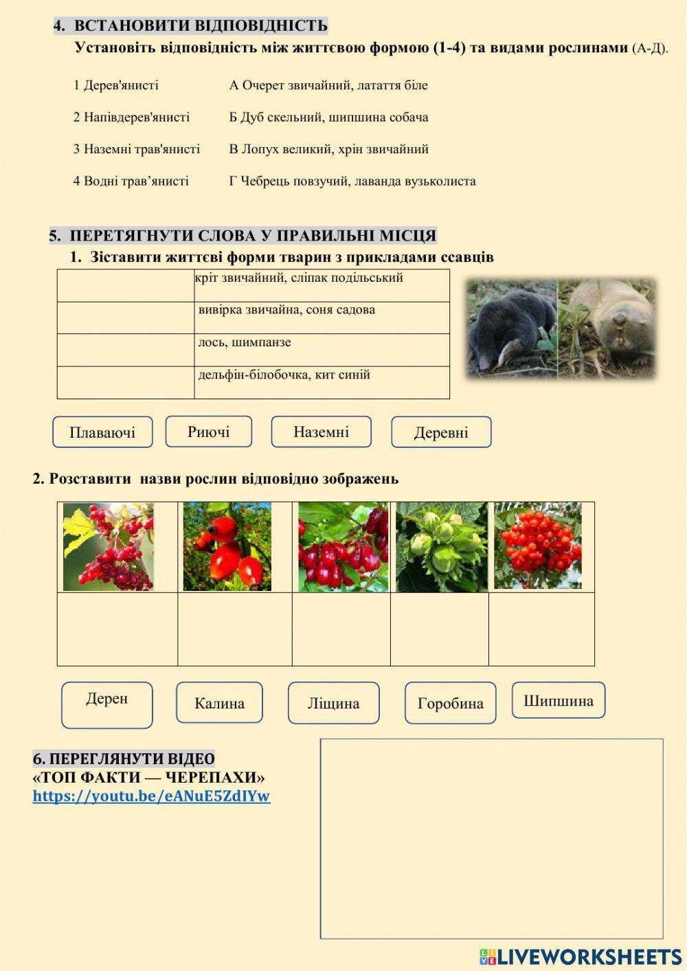 Життєві форми тварин та рослин як адаптації до середовища мешкання