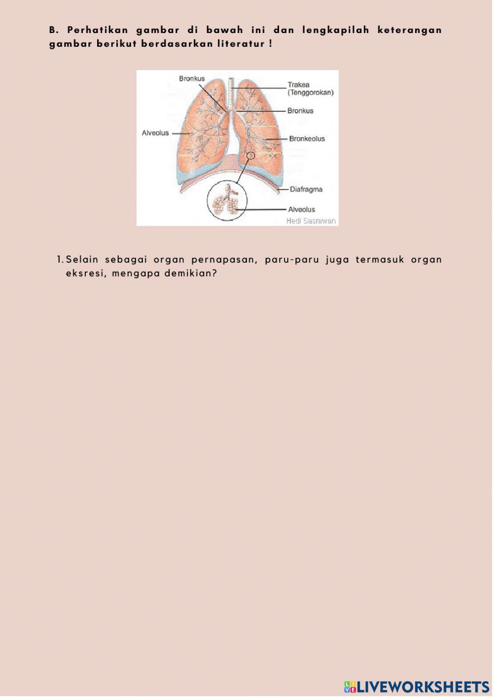 LKPD permainan tradisional Ekskresi