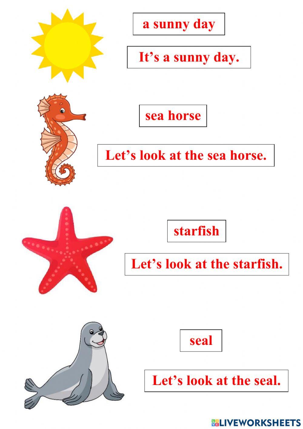 Lesson - at the seaside