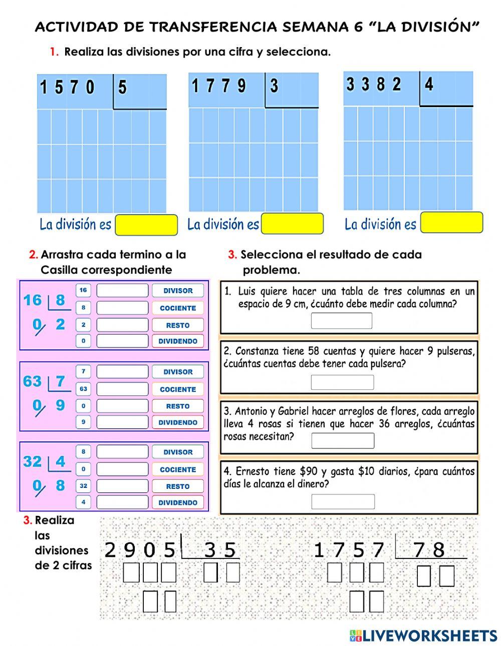 Actividad de transferencia semana 6