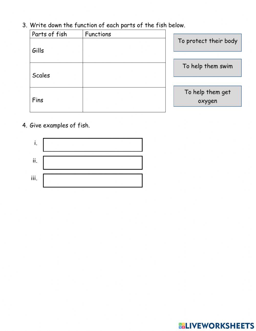 CHARACTERISTICS OF FISH 2