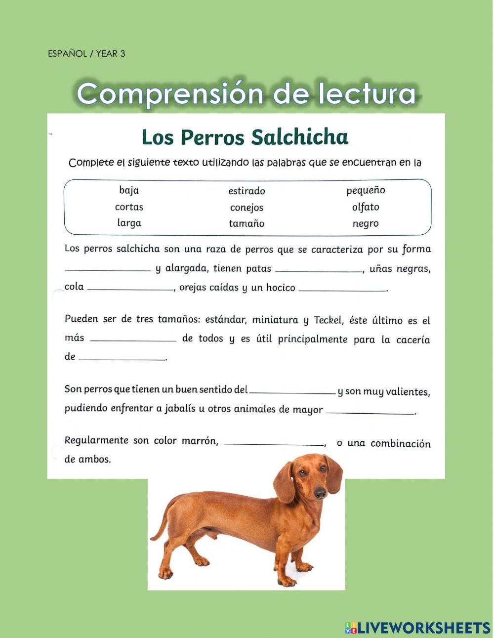 Comprensión de lectura