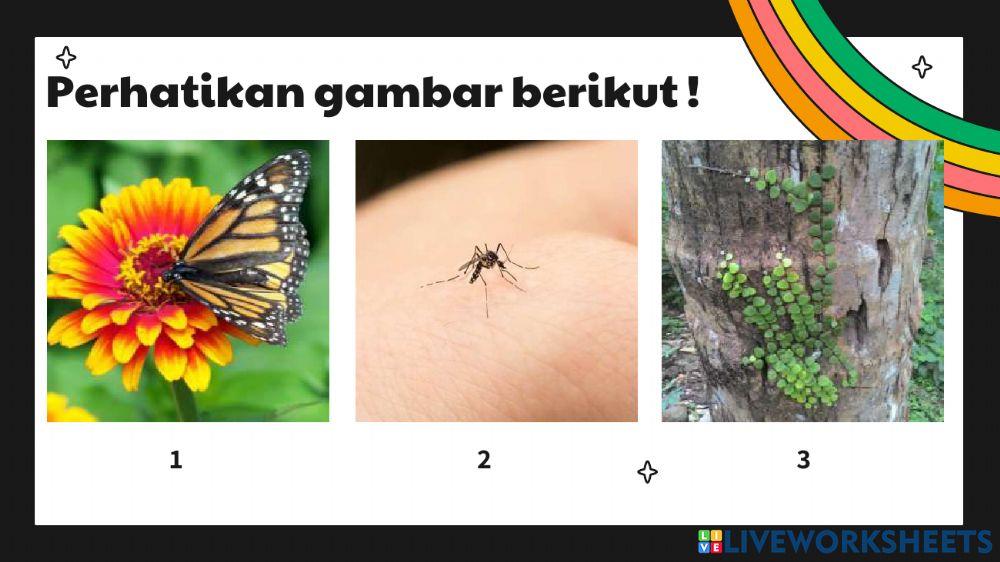 Interaksi Antar Komponen Ekosistem