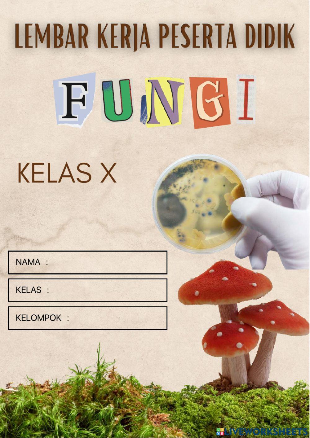 Lkpd reproduksi fungi (sman 1 depok)