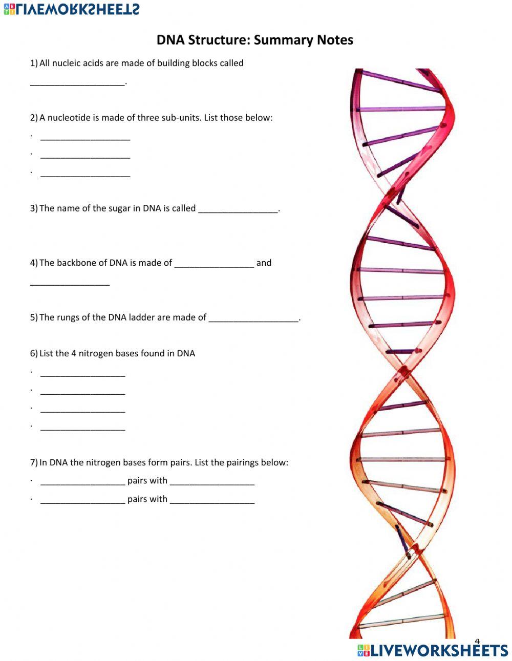 2298954 DNA Structure Sandra Hendrix