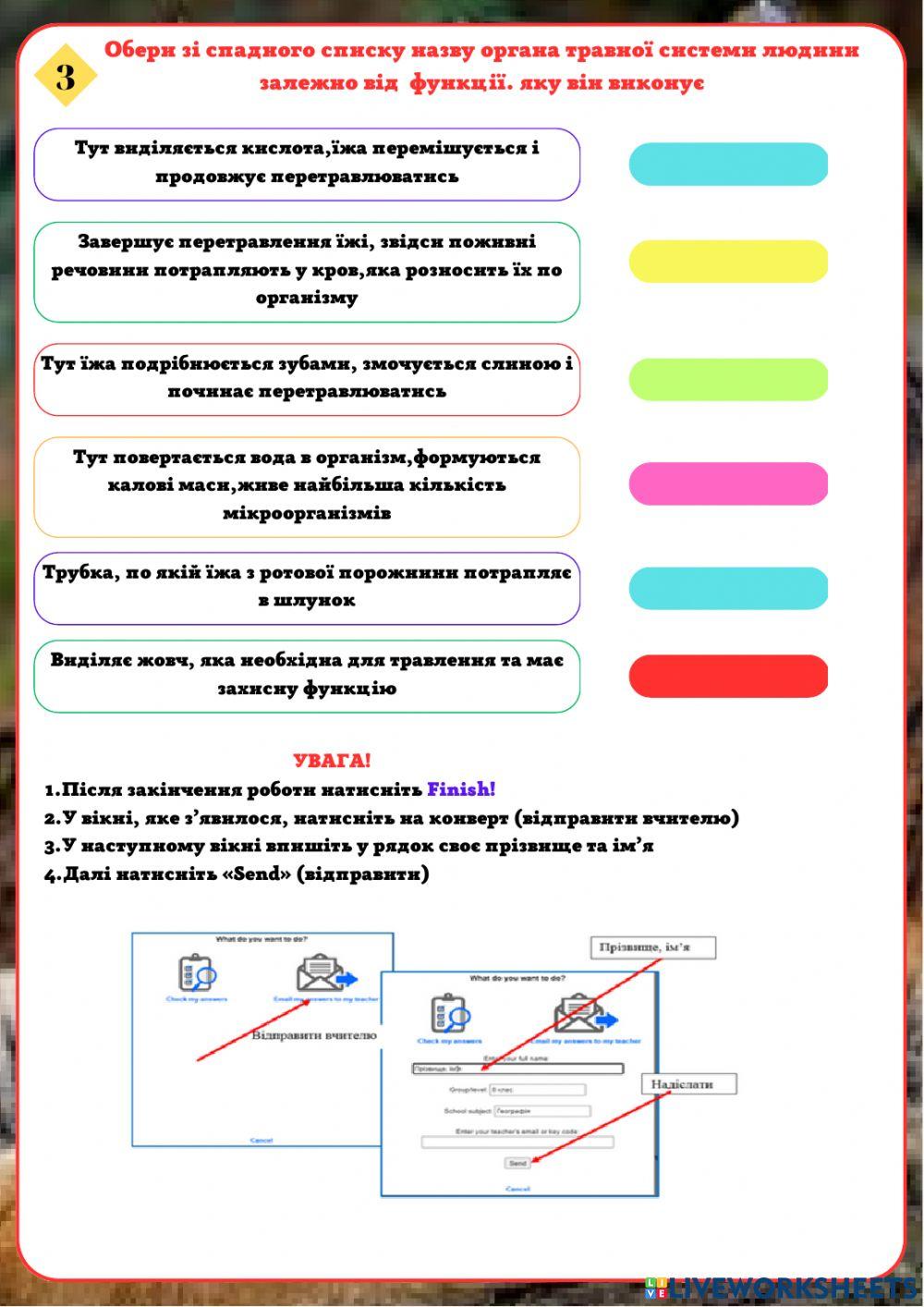 Травна система людини
