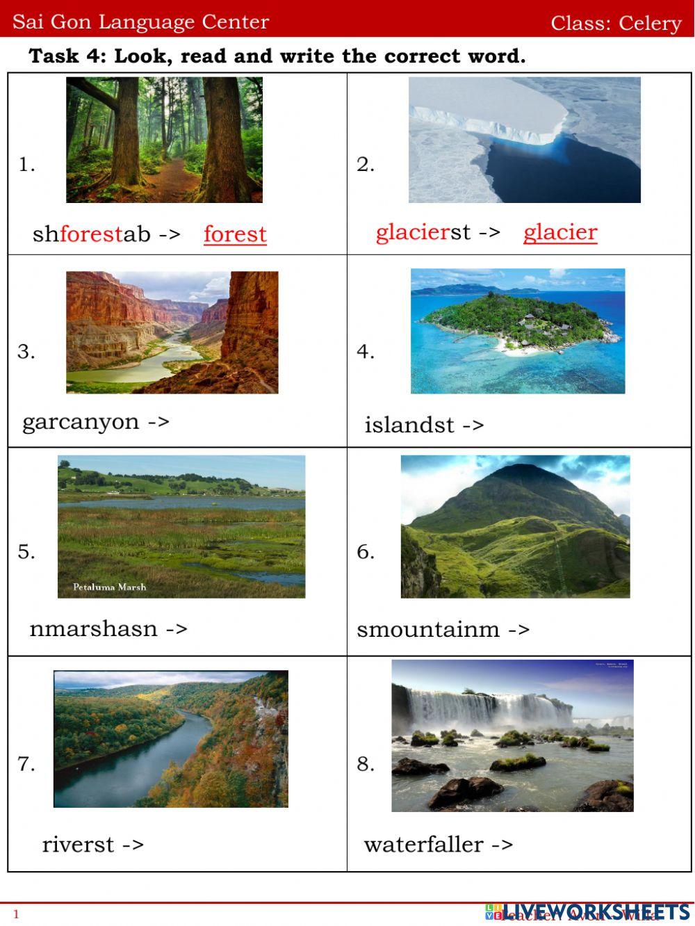 What's the fastest animal in the world?