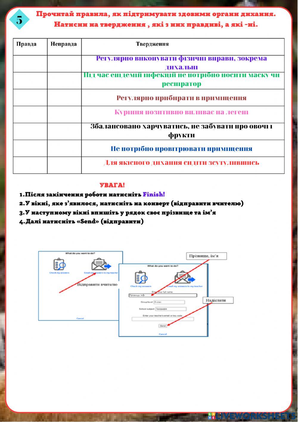 Дихальна система людини