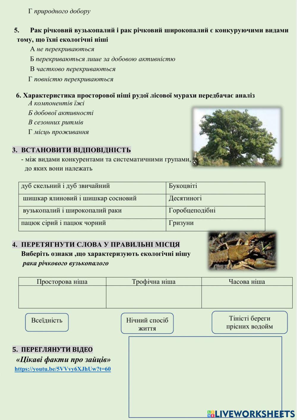 Екологічна ніша