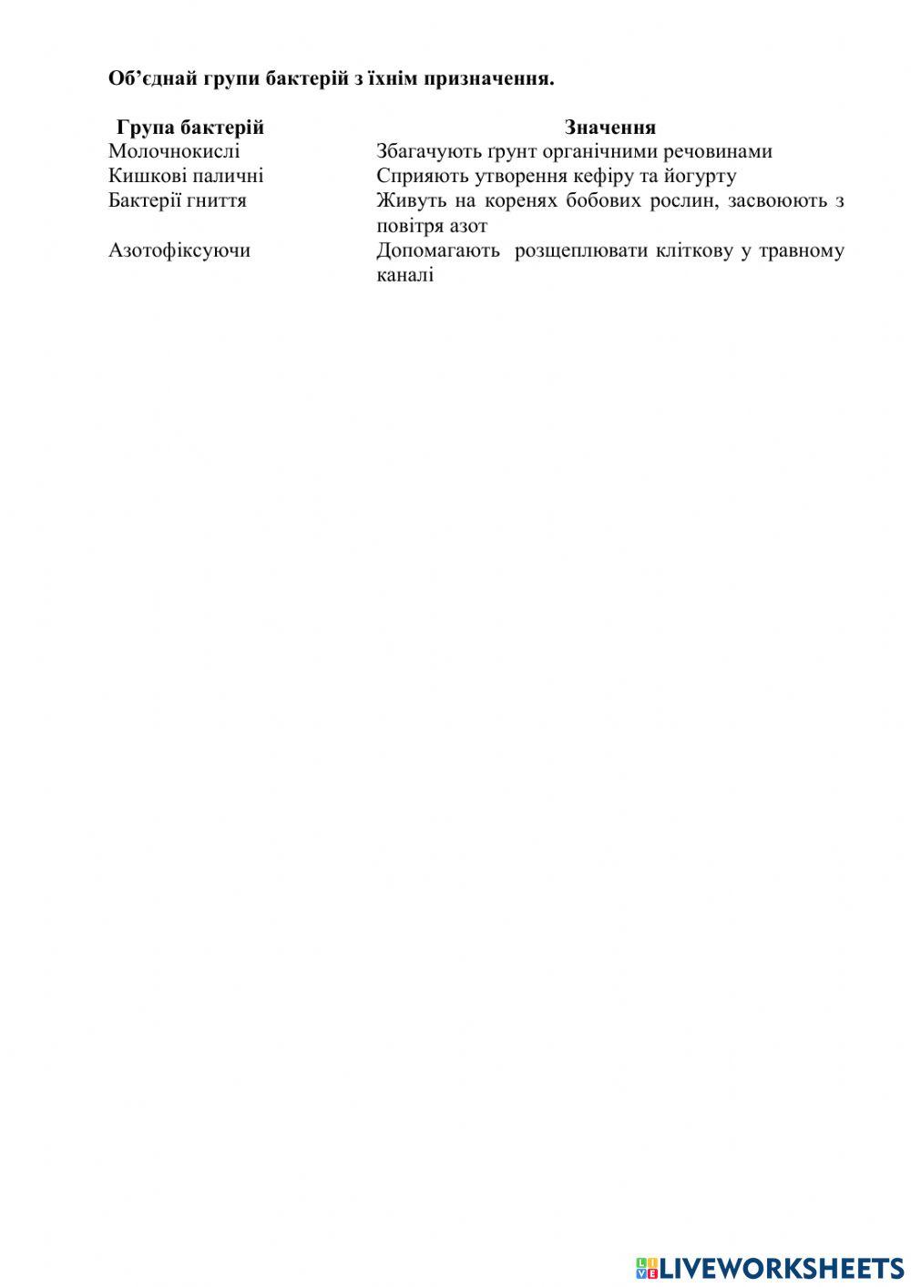 Яке значення бактерій і вірусів у природі й для людини?