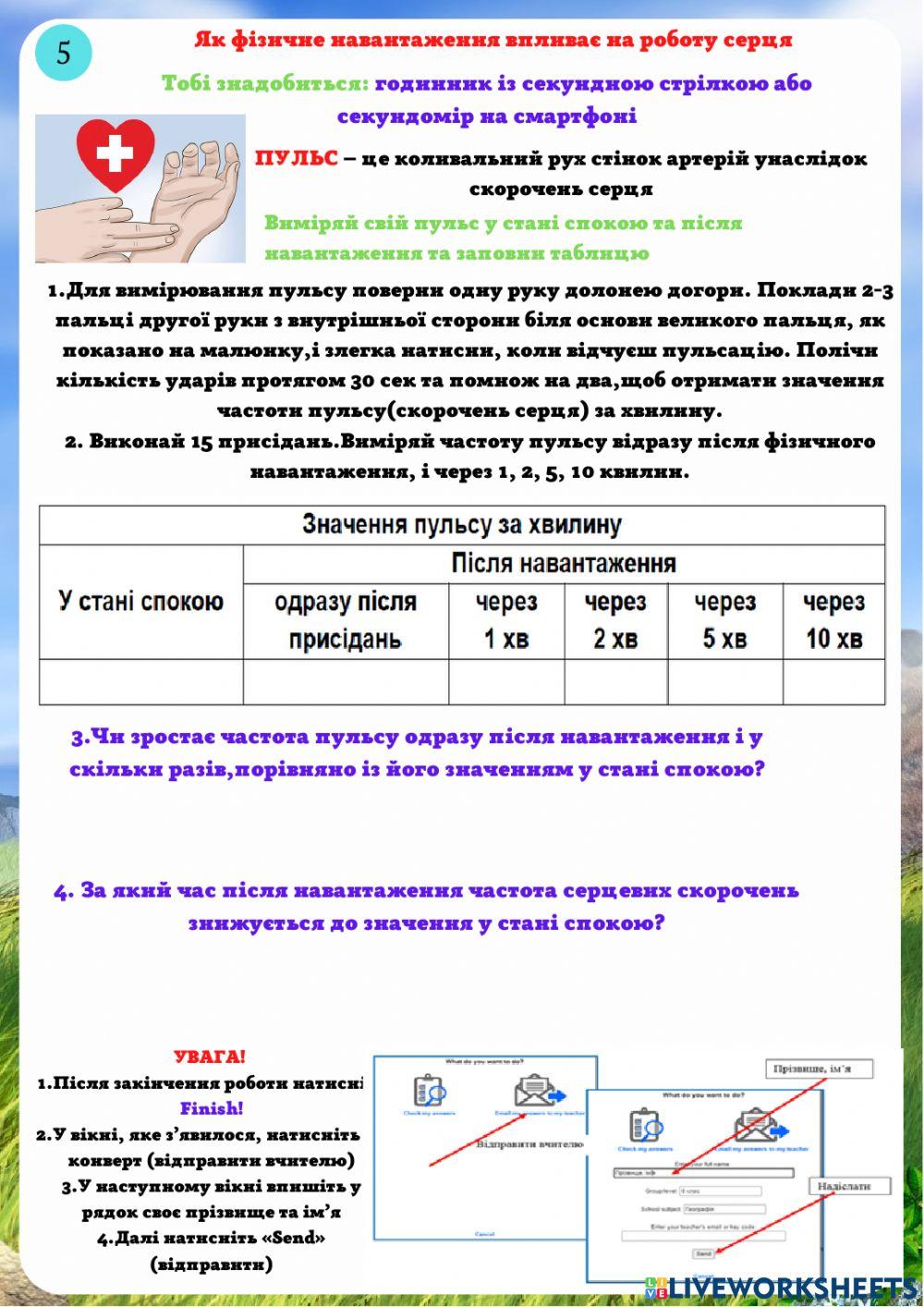 Кровоносна система людини