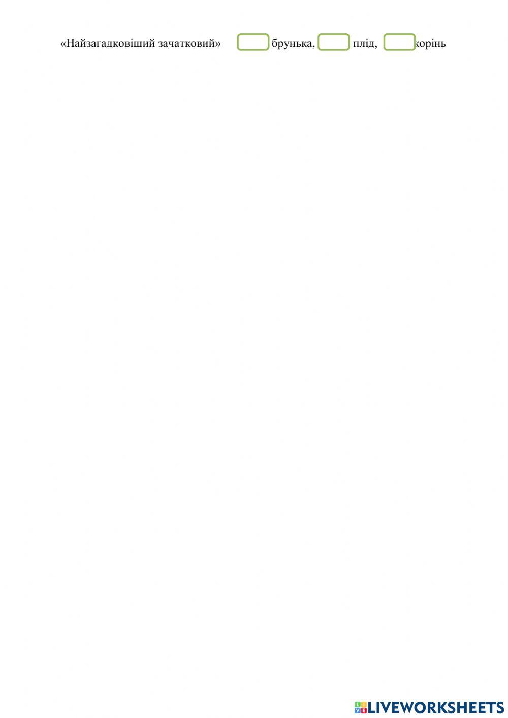 Які органи у квіткової рослини?