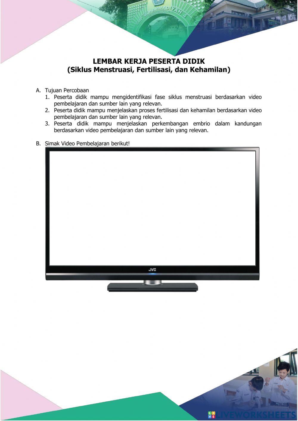 Menstruasi, Fertilisasi, Kehamilan